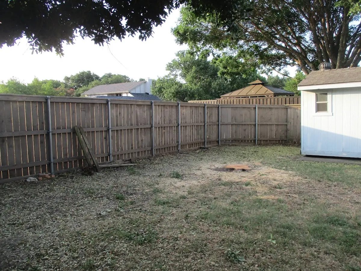 Cleared yard after professional tree removal in Port Haywood